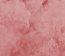 MA0512 Marsala